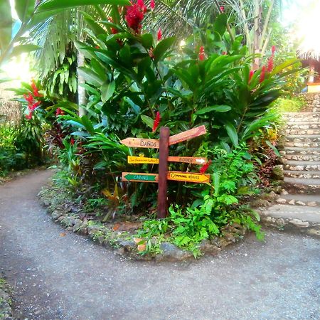 El Hotelito Perdido Izabal المظهر الخارجي الصورة