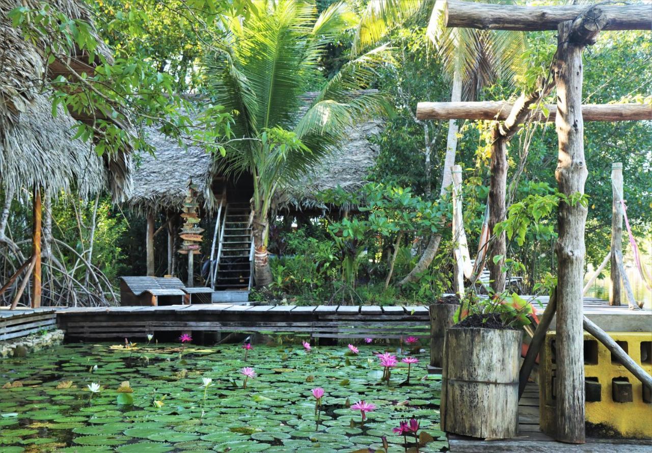 El Hotelito Perdido Izabal المظهر الخارجي الصورة