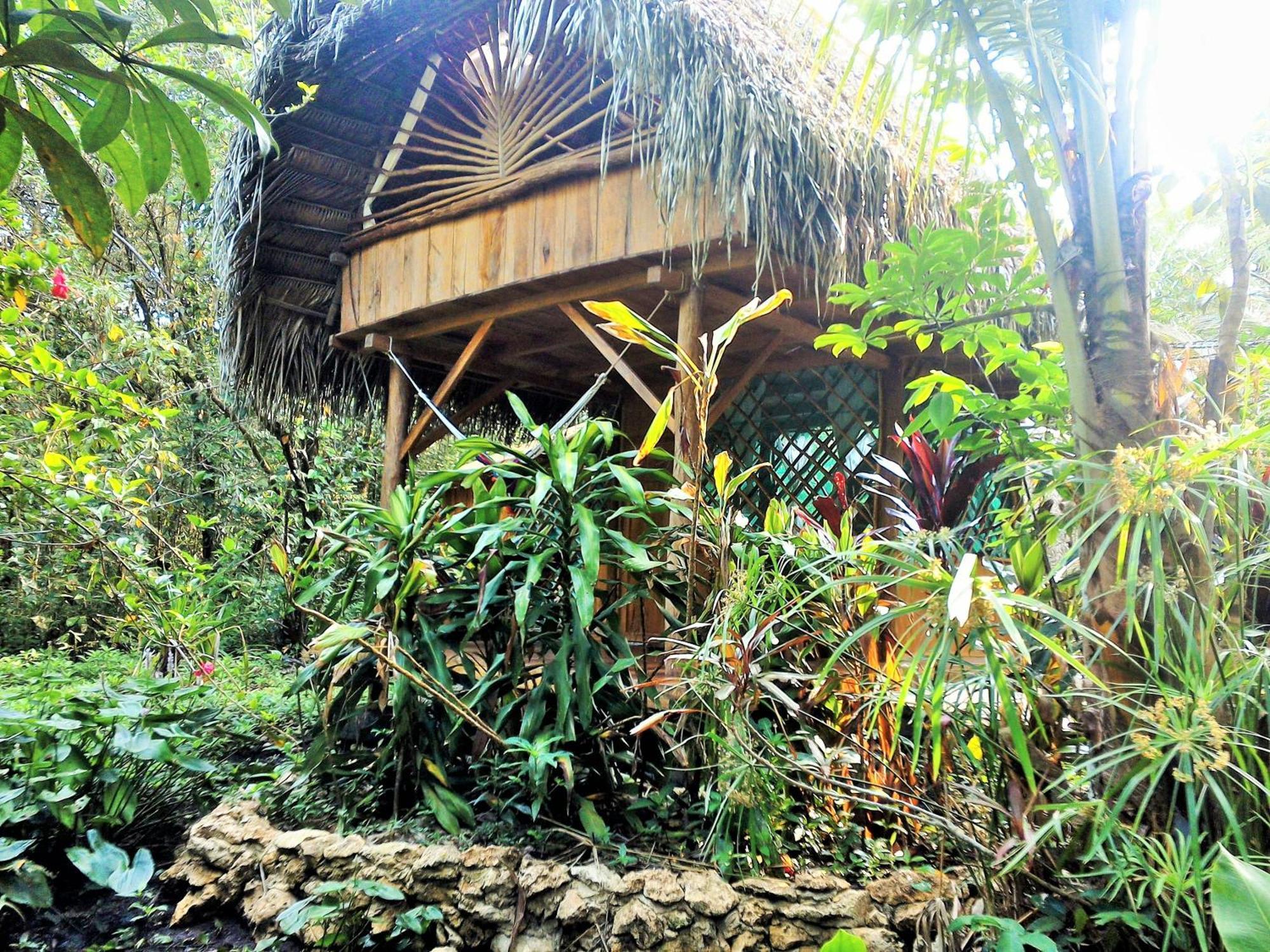 El Hotelito Perdido Izabal المظهر الخارجي الصورة