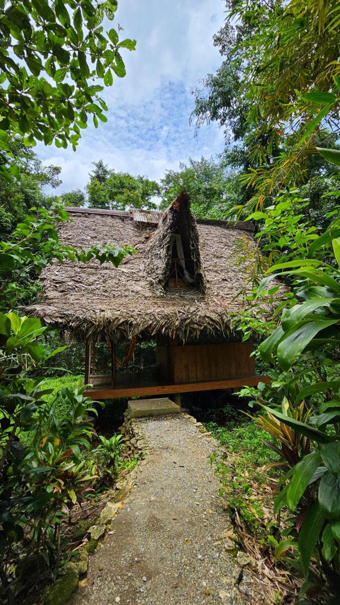 El Hotelito Perdido Izabal المظهر الخارجي الصورة